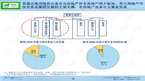 莱茵达集团中期报告与创业孵化器管理服务 精品创业书模板分析